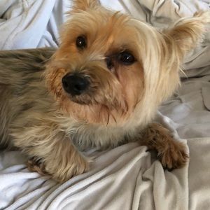 Meet your Posher, Nancy